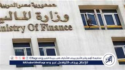 المالية تكشف تفاصيل الإفراج عن البضائع حتى الآن