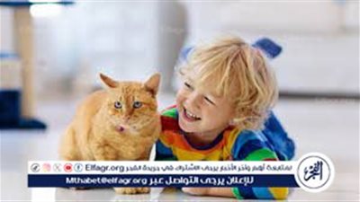 ترسيخ العطف والرحمة نحو الحيوانات في قلوب الأطفال