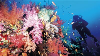  Global Highlights يسلط الضوء على خمس مدن سياحية مصرية لزيارتها صيف 2024 