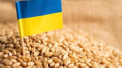 وارسو وكييف تسعيان لحل النزاع حول ملف الحبوب