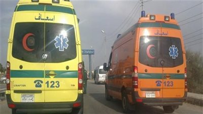 إصابة 3 أشخاص في حادث انقلاب سيارة ربع نقل بالفيوم 