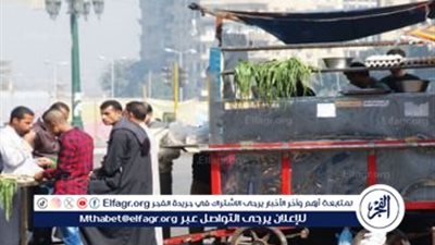تأكدوا من النظافة.. خطورة تناول الطعام عند الباعة الجائلين: تحديات الصحة والسلامة