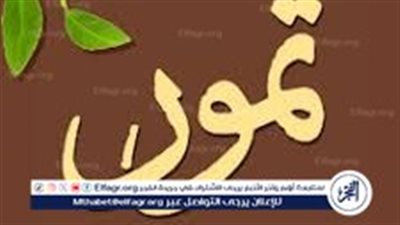 برنامج تمور يفتح آفاق جديدة لبيع منتجاتك الكترونيًا بكل سهولة