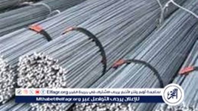 تراجع أسعار الحديد بمتوسط 5،400 جنيه للطن في أبريل