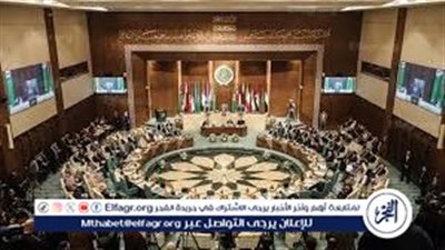 دبلوماسي فلسطيني يكشف أسباب تأجيل الاجتماع العربي الطارئ
