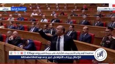 نائب للرئيس السيسي: 