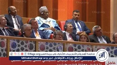 بالأسماء.. السفراء في حفل تنصيب الرئيس السيسي