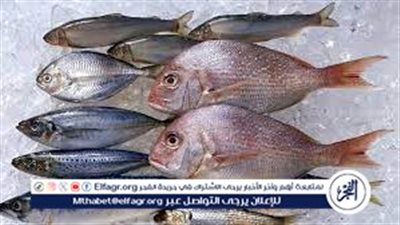أسعار السمك اليوم الاثنين 8-4-2024 في المنيا