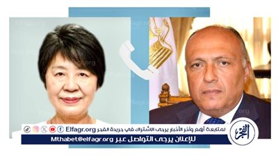عاجل - كواليس اتصال وزيري الخارجية المصري والياباني.. وآخر تطورات الحرب في قطاع غزة