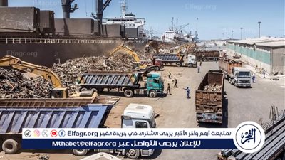 ميناء دمياط يستقبل 38 سفينة متنوعة خلال 24 ساعه