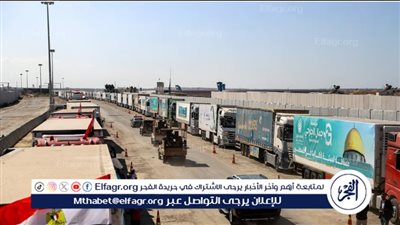 80 شاحنة من المساعدات الإنسانية تعبر من رفح إلى فلسطين (فيديو)