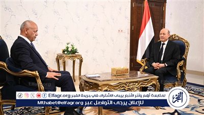 الرئيس اليمني يُشيد بموقف مصر الداعم لبلاده (فيديو)