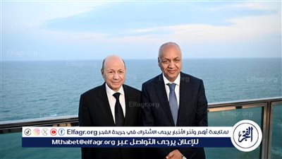 الرئيس اليمني: رفعنا الشعار المصري 