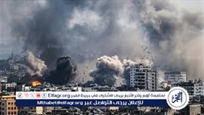 أستاذ علوم سياسية: مصر واصلت الليل بالنهار لوقف العدوان الإسرائيلي على غزة (فيديو)