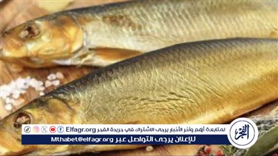تعرف علي أسعار الاسماك المملحة في منافذ وزارة التموين