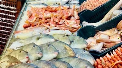 أسعار الأسماك اليوم الثلاثاء بمحافظة أسيوط