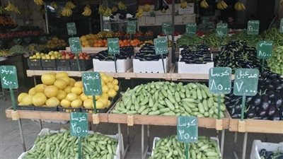 أسعار الخضروات اليوم الثلاثاء بمحافظة أسيوط