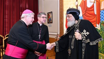 البابا تواضروس وأساقفة الكنيسة الكاثوليكية بفرنسا: يجب استمرار الصلاة لأجل غزة 