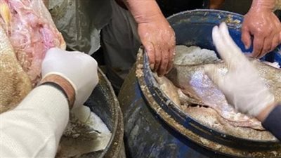 لهذا السبب.. هيئة الدواء تحذر المواطنين من المشروبات الغازية مع الفسيخ والرنجة