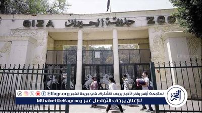 حديقة الحيوان بالإسكندرية: استقبلنا 84 ألف زائر في أيام العيد الثلاثة