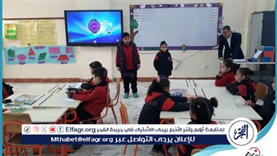 شروط الالتحاق بالمدرسة اليابانية.. السن الرسمي وكل الأوراق المطلوبة