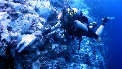 توجيه عاجل من وزيرة البيئة بشأن حادث جنوح ناقلة الغاز الليبيرية