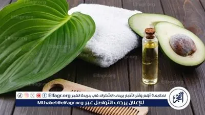 تعرف على أفضل أنواع الزيوت للشعر 