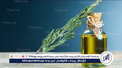 فوائد مغلي إكليل الجبل للشعر: سر الجمال الطبيعي ولمعان الشعر