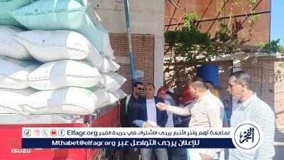 محافظ الدقهلية: إجمالي الشون والصوامع المعدة لاستقبال القمح 37 موقع بسعة تخزنية 289 الف طن