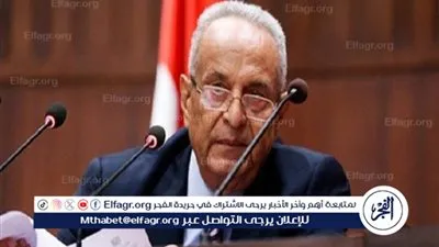 بهاء أبو شقة: كثرة الأحزاب ليس عيبًا في النظام المصري