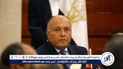 وزير الخارجية: مصر تعمل على وقف الحرب في غزة
