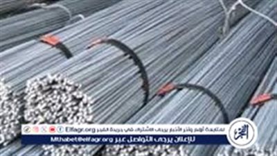 أسعار الحديد اليوم الخميس 18 أبريل 2024