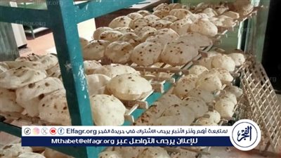 حملات رقابية وتفتيشية متنوعة على المخابز والأسواق ومنافذ بيع السلع الغذائية بالفيوم 