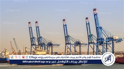 ميناء دمياط يستقبل 39 سفينه متنوعه خلال 24 ساعه