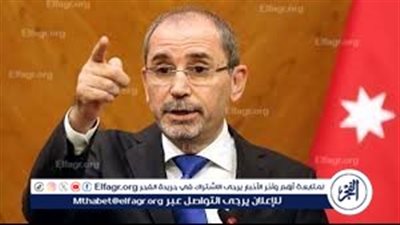 الصفدي لنظيره الإيراني: الأردن يريد علاقات طبية مع إيران لكن تحقيقها يتطلب إزالة أسباب التوتر 