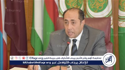 السفير حسام زكي: القمة العربية تعقد بوقت دقيق من حرب غزة (فيديو)