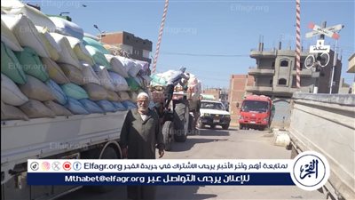 توريد 9146 طن قمح لشون وصوامع الدقهلية 