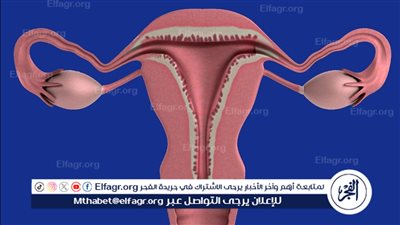 تابع صحة الرحم: الأمراض والوقاية منها