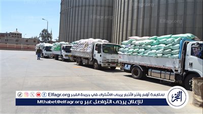 صوامع وشون الدقهلية تستقبل 13 ألفا و836 طن قمح