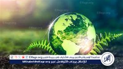 كيف نحتفل بيوم الأرض العالمي2024؟ تعرف على الأنشطة والمبادرات المهمة 