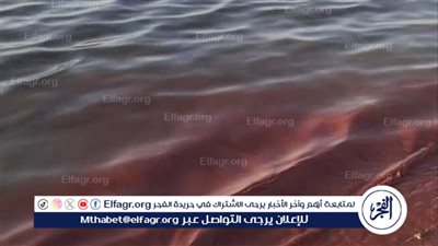 تكاثر الشعاب المرجانية في البحر الأحمر.. دراسة تكشف تباينًا زمنيًا وأهمية الحفاظ على النظام البيئي 