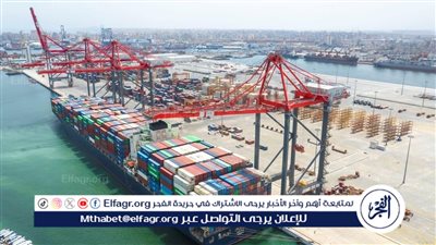 الهيئه العامة لميناء الإسكندرية تتداول 135 ألف طن بضائع خلال 24 ساعة