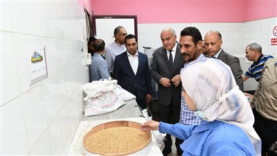 انطلاق توريد محصول القمح بعدد من الصوامع في محافظة قنا