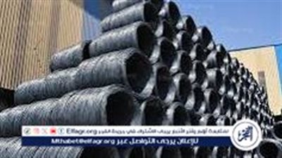 سعر طن الحديد اليوم.. حديد عز للمستهلك في الشركات المصرية