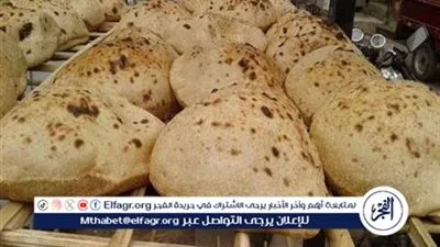 متحدث الوزراء يزف بشرى سارة عن رغيف الخبز السياحي