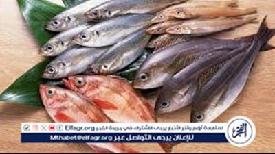عاجل: سعر السمك اليوم الأربعاء 24 إبريل بعد حملة مقاطعة الأسماك