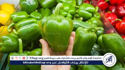 استخدامات الفلفل في المطبخ المصري: نكهة حارة تميز الأطعمة الشهية
