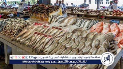 أسعار السمك البلطي والبياض اليوم السبت 8-6-2024 في محافظة قنا