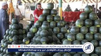 الحكومة: لا صحة لانتشار بطيخ مسرطن في الأسواق