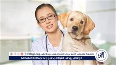 نقيب الأطباء البيطريين يكشف عن أزمة كبيرة في الطب البيطري (فيديو)